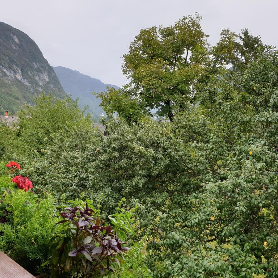 Appartement Apartmaji Pri Medvedu Rudnica