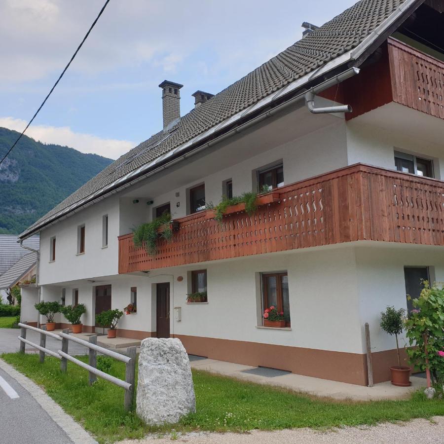 Apartmaji Pri Medvedu Rudnica Apartma *